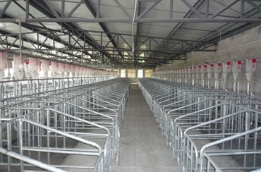 自動(dòng)化養(yǎng)殖